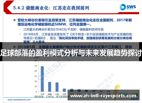 足球部落的盈利模式分析与未来发展趋势探讨