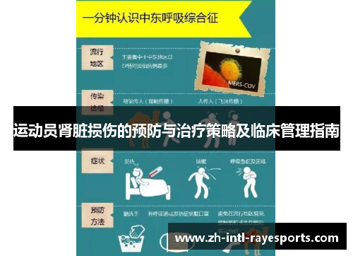 运动员肾脏损伤的预防与治疗策略及临床管理指南 运动员肾脏损伤的预防与治疗策略及临床管理指南